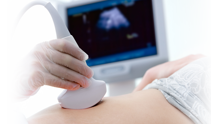 gynaecologist specialist